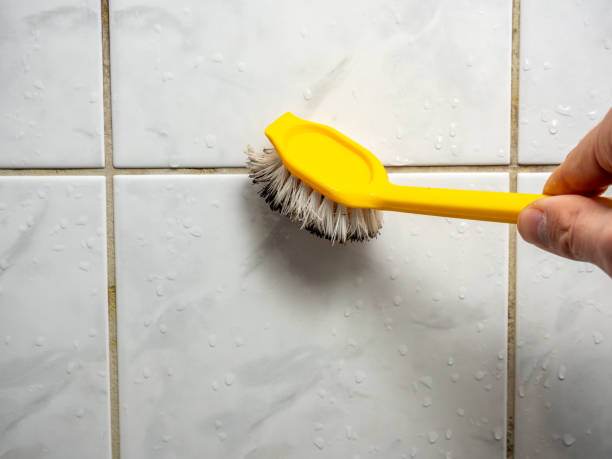 Best Attic Mold Removal  in Point Lookout, NY