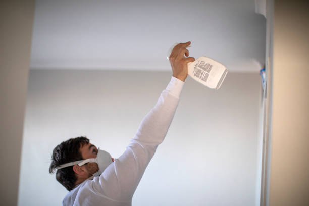 Best Mold Removal Specialists  in Point Lookout, NY